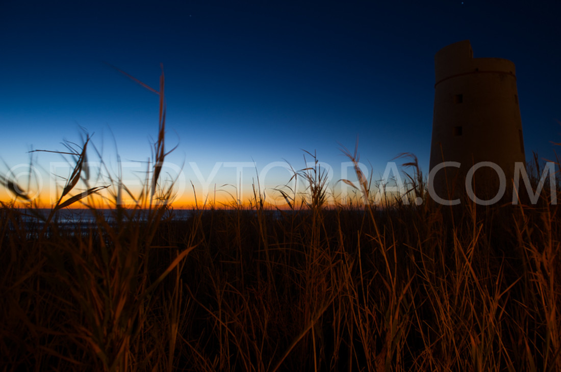 Torre del Palmar 005_FTC0079